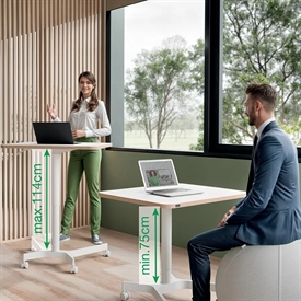 Leitz 65360001 Manuelt Hæve-/Sænkebord